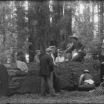 Bohemian Grove 2014: politici, militari e gente che conta brindano alla devastazione del mondo (NOMI e FOTO) BohemianGrove87