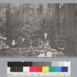 Bohemian Grove 2014: politici, militari e gente che conta brindano alla devastazione del mondo (NOMI e FOTO) BohemianGrove189