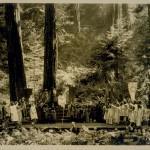 Bohemian Grove 2014: politici, militari e gente che conta brindano alla devastazione del mondo (NOMI e FOTO) BohemianGrove232