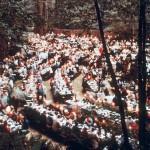 Bohemian Grove 2014: politici, militari e gente che conta brindano alla devastazione del mondo (NOMI e FOTO) cremation of care