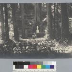 Bohemian Grove 2014: politici, militari e gente che conta brindano alla devastazione del mondo (NOMI e FOTO) BohemianGrove186