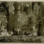 Bohemian Grove 2014: politici, militari e gente che conta brindano alla devastazione del mondo (NOMI e FOTO) BohemianGrove233