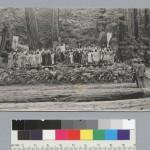 Bohemian Grove 2014: politici, militari e gente che conta brindano alla devastazione del mondo (NOMI e FOTO) BohemianGrove191
