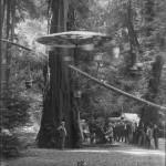 Bohemian Grove 2014: politici, militari e gente che conta brindano alla devastazione del mondo (NOMI e FOTO) BohemianGrove73