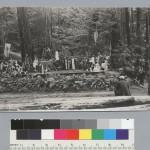 Bohemian Grove 2014: politici, militari e gente che conta brindano alla devastazione del mondo (NOMI e FOTO) BohemianGrove192