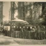 Bohemian Grove 2014: politici, militari e gente che conta brindano alla devastazione del mondo (NOMI e FOTO) BohemianGrove275