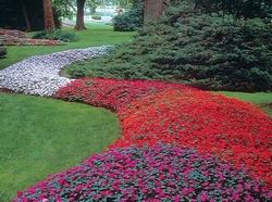 Bordura di fiori di vetro
