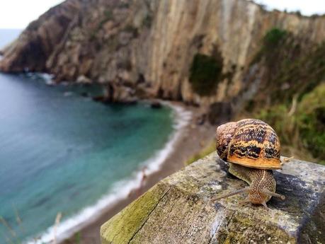 Playa del Silencio - Asturia, Spagna