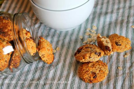 Healthy Muesli Cookies (Biscotti al Muesli)