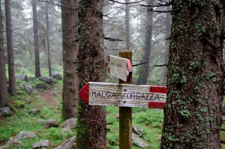 ALTA VIA DEL GRANITO: terza tappa - la via del ritorno