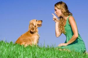 Consigli per farti obbedire dal cane .