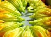 Fiori zucchina ripieni patate taleggio