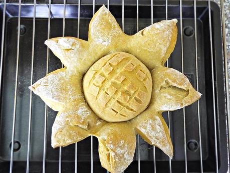 Un pane di patate che voleva essere un girasole