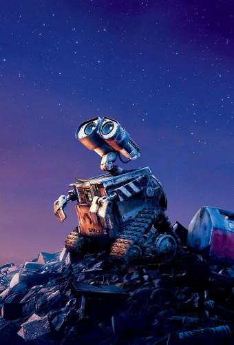 Wall-E sulla Terra