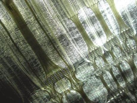 BELLISSIME TEXTURES NELL'INNOVATIVO TESSUTO DI RITA PARNICZKY, X-RAY FABRIC