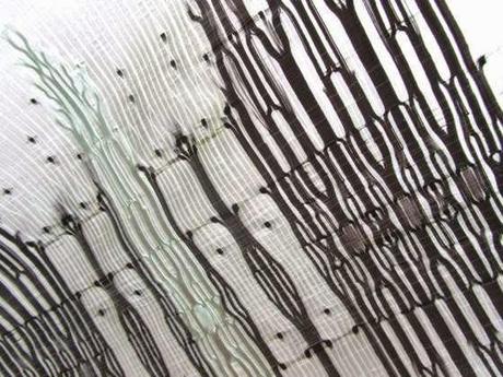 BELLISSIME TEXTURES NELL'INNOVATIVO TESSUTO DI RITA PARNICZKY, X-RAY FABRIC