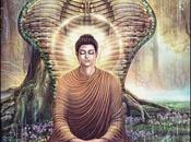 Concetti fondamentali della Meditazione Vipassana