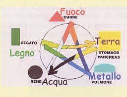 I 5 organi principali.