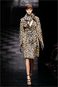 animalier2