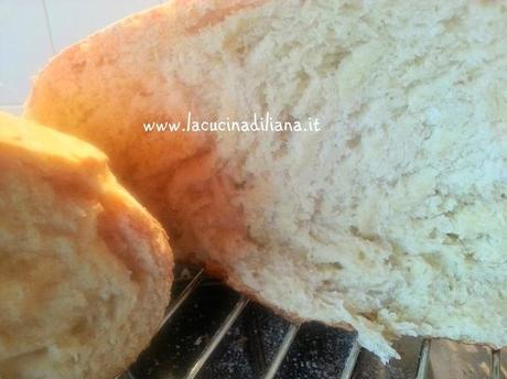 Pane di Semola di grano duro (con pasta madre)