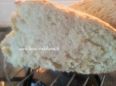 Pane di Semola di grano duro (con pasta madre)