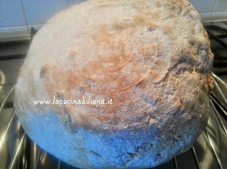 Pane di Semola di grano duro (con pasta madre)