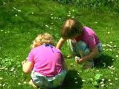 Asilo bosco libertà