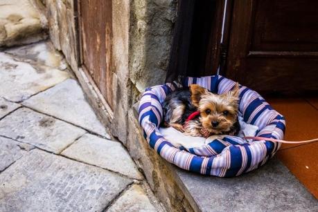 travel / Alla scoperta della Valtiberina: Sansepolcro, Monterchi, Anghiari