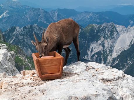 FORONON DEL BUINZ e il canalone de Lis Sieris