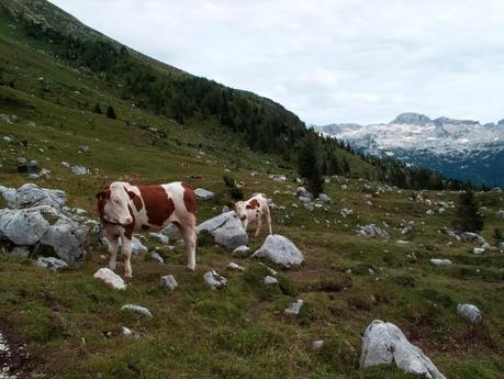 FORONON DEL BUINZ e il canalone de Lis Sieris