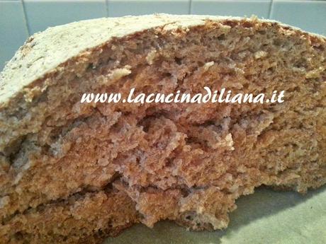 Pane integrale alla Birra con Pasta Madre