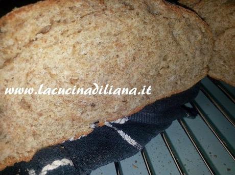 Pane integrale alla Birra con Pasta Madre