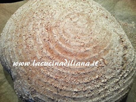 Pane integrale alla Birra con Pasta Madre