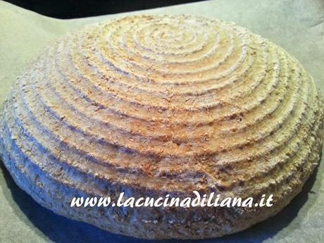 Pane integrale alla Birra con Pasta Madre