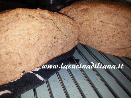 Pane integrale alla Birra con Pasta Madre