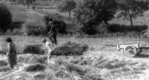 Maggengo: quando i nostri nonni facevano il fieno in primavera... (ovvero: lavori agricoli perduti)