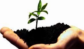 Alcuni suggerimenti per partire vincenti