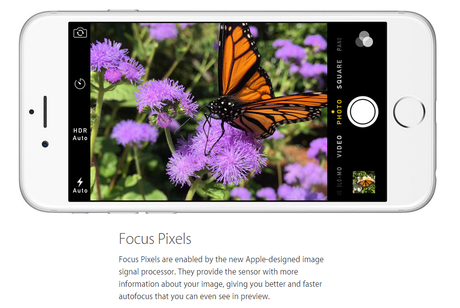 iPhone 6 e 6 Plus, vediamo le funzionalità della fotocamera nel dettaglio focus pixel