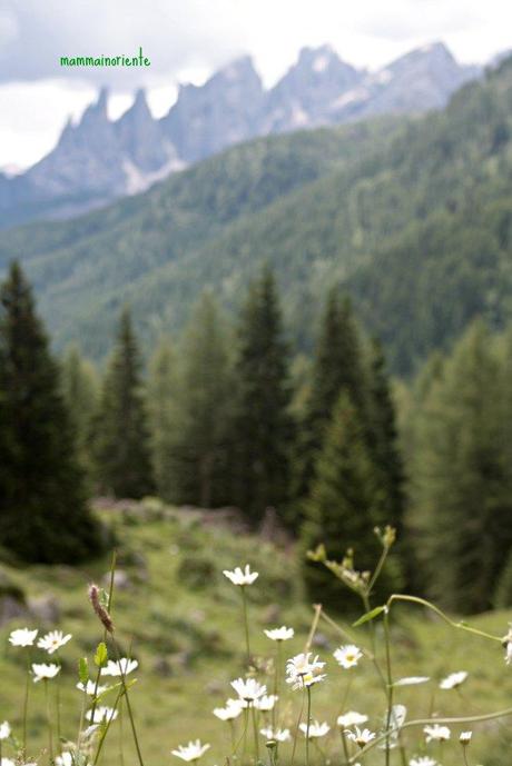 Ricordi di un’estate che sembra già lontana