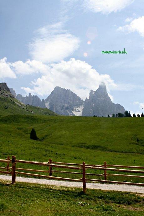 Ricordi di un’estate che sembra già lontana