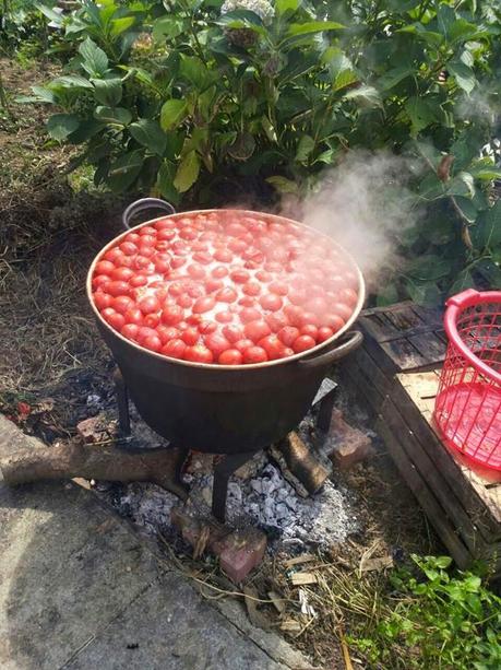 Salsa fatta in casa - tramandiamo le tradizioni familiari italiane