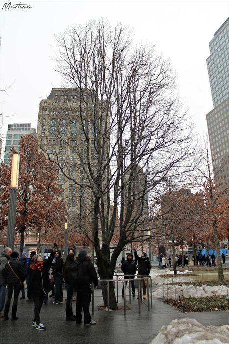 L’urlo silenzioso della speranza: il 9/11 Memorial.