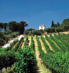 Cantine Aperte in Vendemmia, brindiamo all’autunno