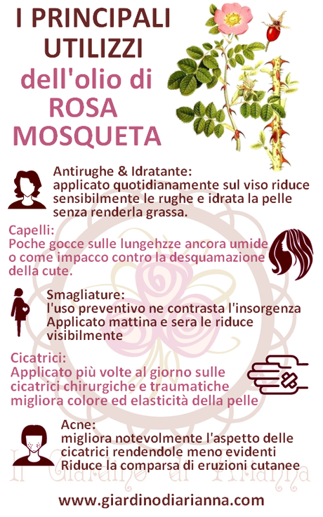 I principali utilizzi dell'olio di rosa Mosqueta