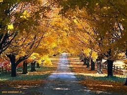 TI AVRO’ A SETTEMBRE