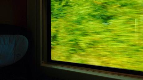 Il mondo visto dal treno