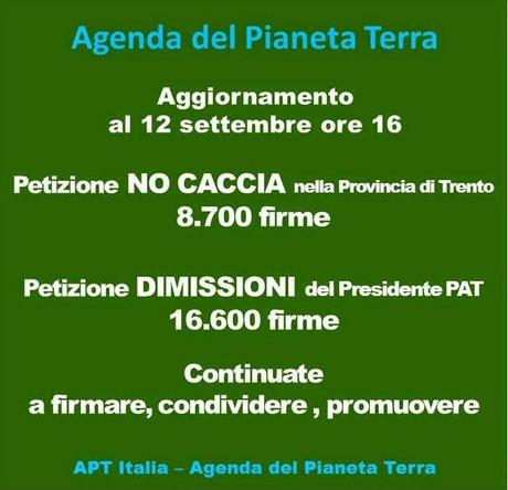 IL GRUPPO FORESTALE PER DANIZA