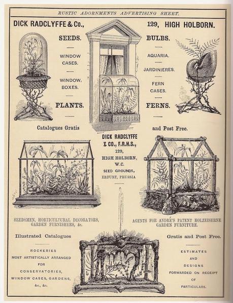 Flowers for the Victorian Parlour: Wardian cases.