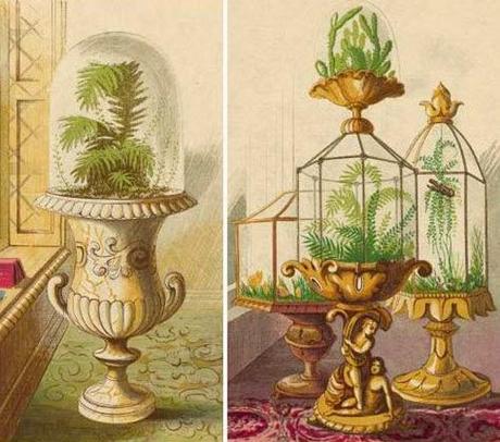 Flowers for the Victorian Parlour: Wardian cases.