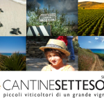 Cantine_Settesoli_Menfi